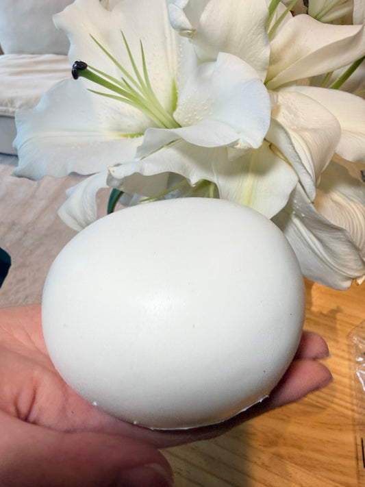 Soft Milk Bun(Scented) Hachimi Foam Slow Rebound Squishy Fidget Toy - Lynsolab
