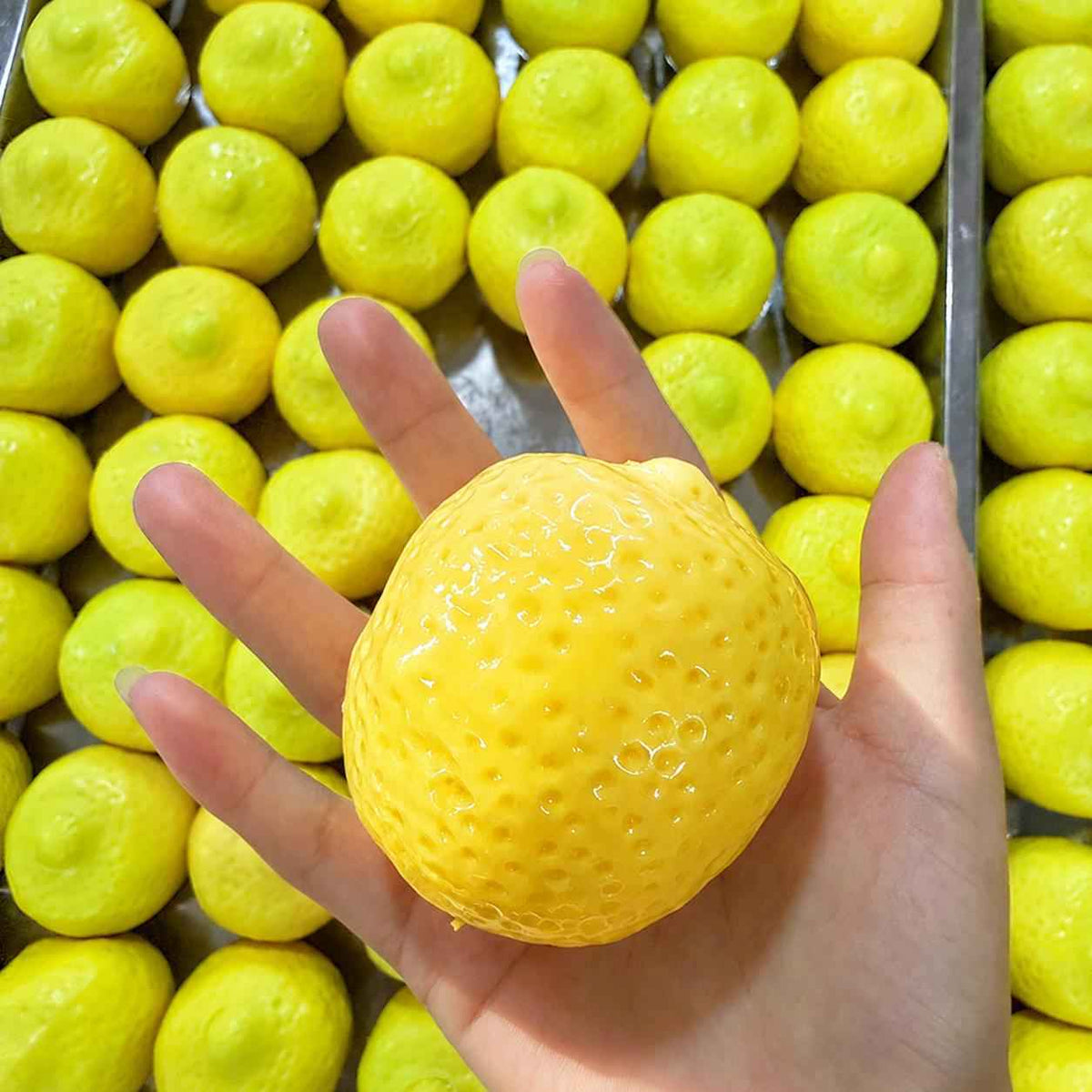 Fruit-Shape Ultimate Crunchy Squishy - LYNSOLAB Moldable ASMR Fidget Toy for Stress Relief & Sensory Play