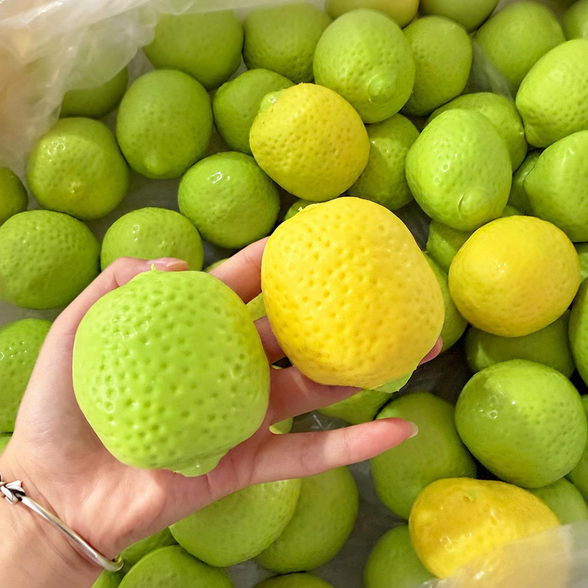 Fruit-Shape Ultimate Crunchy Squishy - LYNSOLAB Moldable ASMR Fidget Toy for Stress Relief & Sensory Play