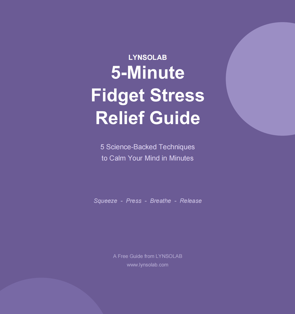 FREE: 5-Minute Fidget Stress Relief Guide - Digital Download